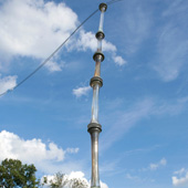 Bamboo Utility Pole - Glass, Steel - 98x4x70 in. - 2011