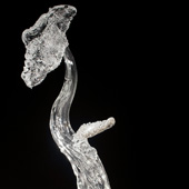 Artificial Nature 2 - Blown and Sculpted Glass, Mirrored Glass - 25x12x10 in. - 2010
